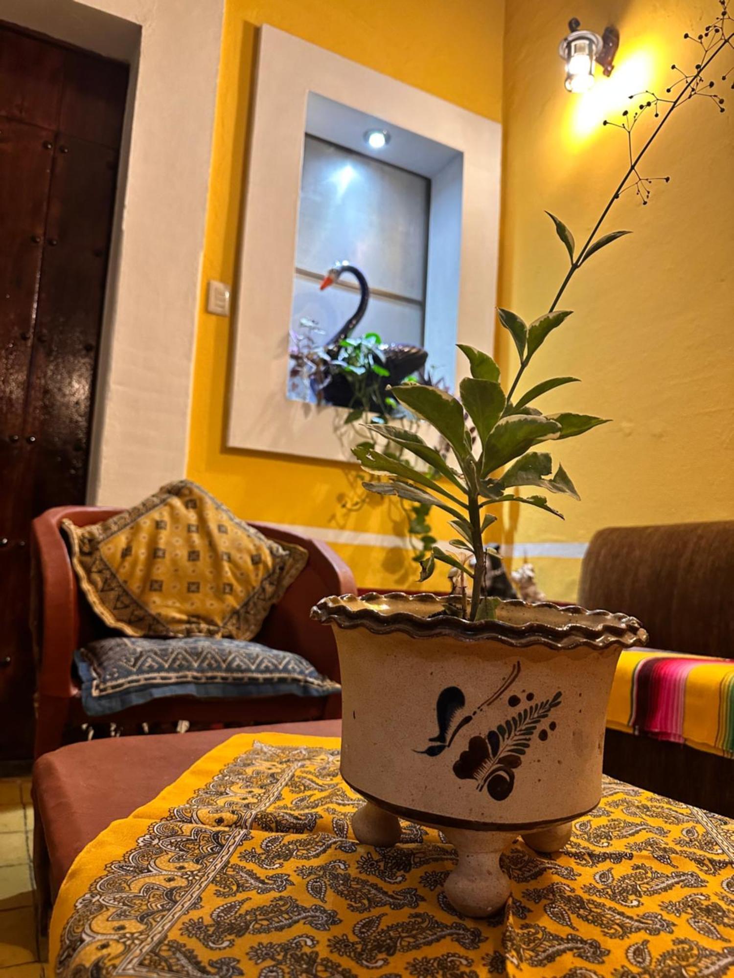 Copa De Oro Hotel Boutique Маскота Экстерьер фото