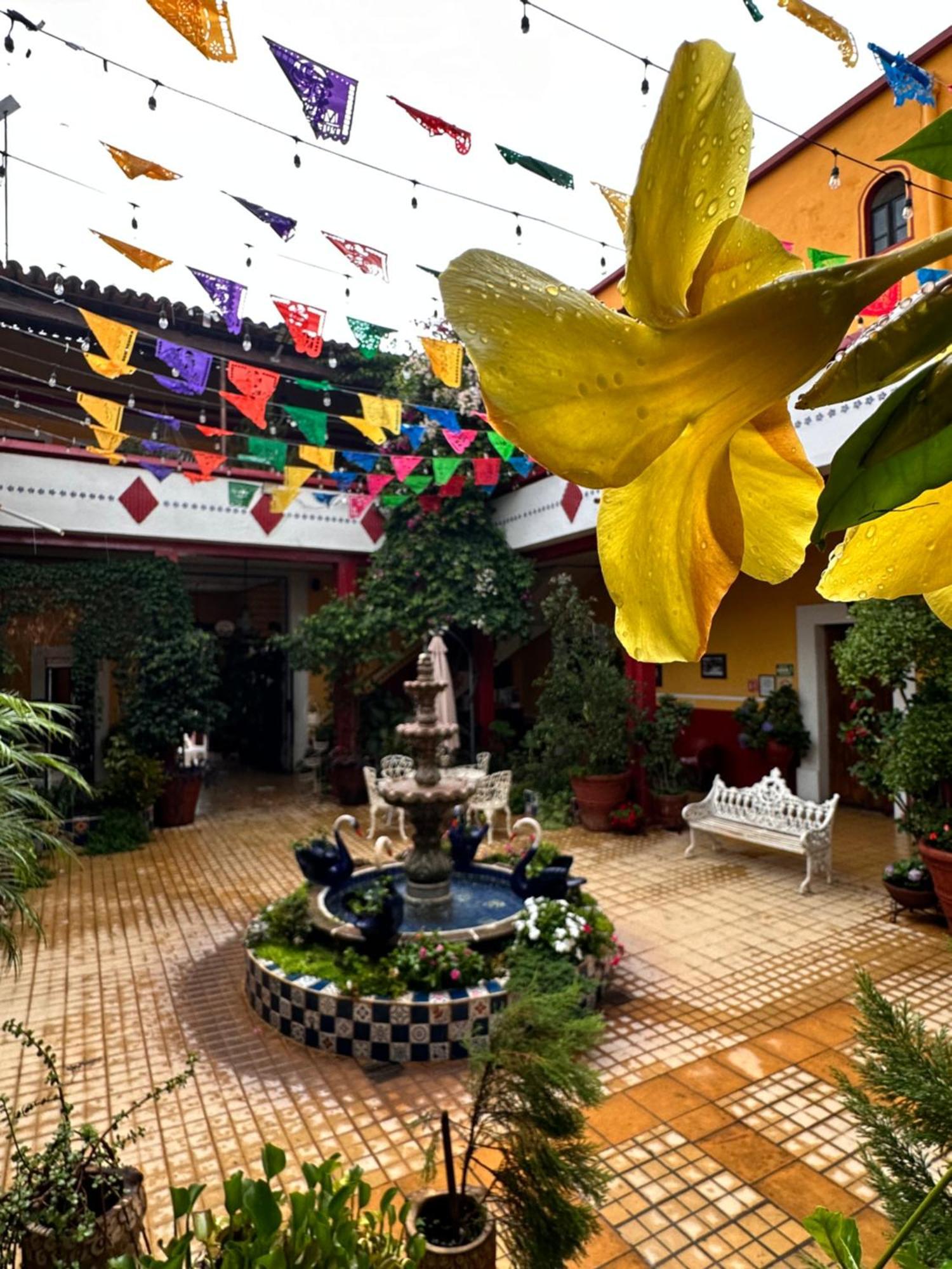 Copa De Oro Hotel Boutique Маскота Экстерьер фото