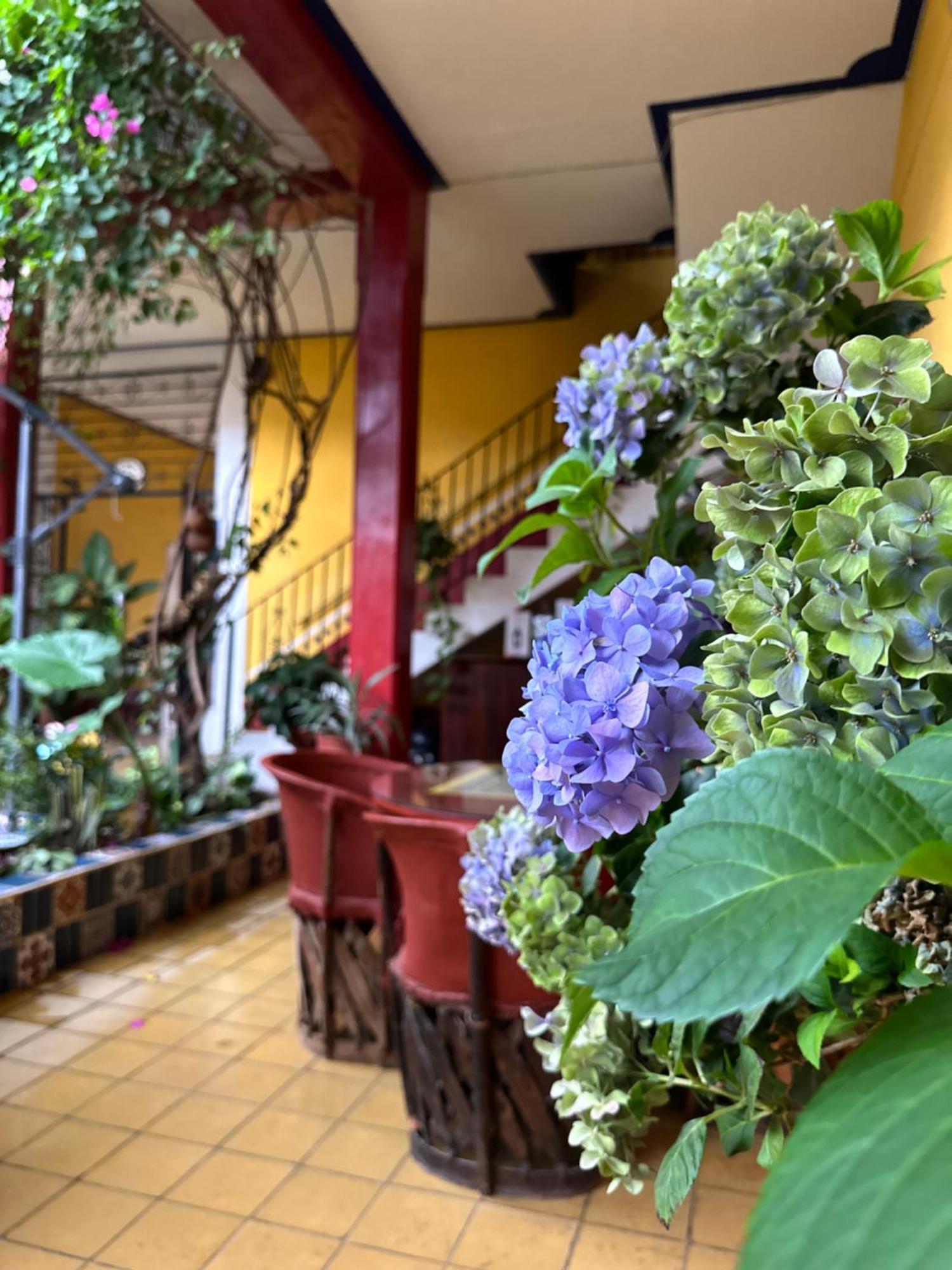 Copa De Oro Hotel Boutique Маскота Экстерьер фото