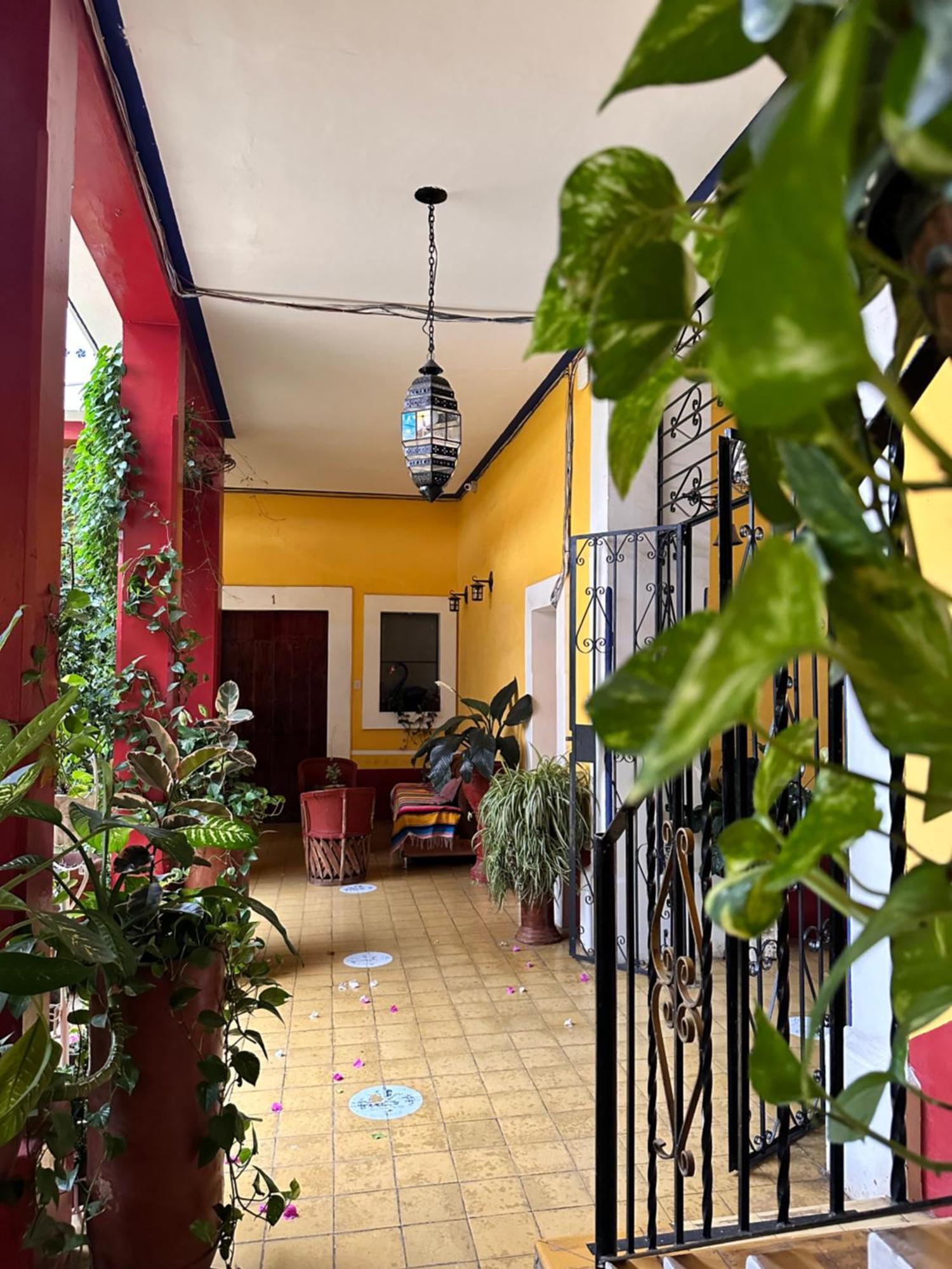 Copa De Oro Hotel Boutique Маскота Экстерьер фото