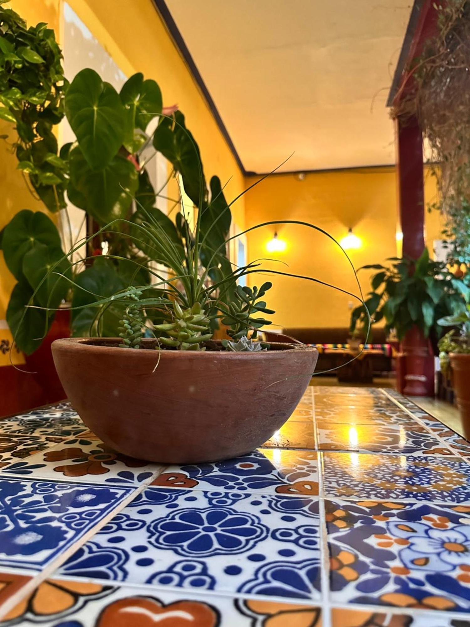 Copa De Oro Hotel Boutique Маскота Экстерьер фото